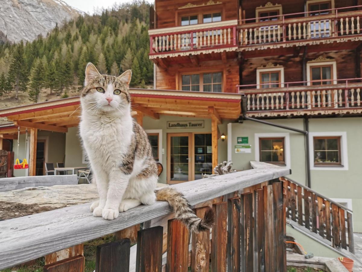 Landhaus Taurer Kals-am Großglockner 외부 사진