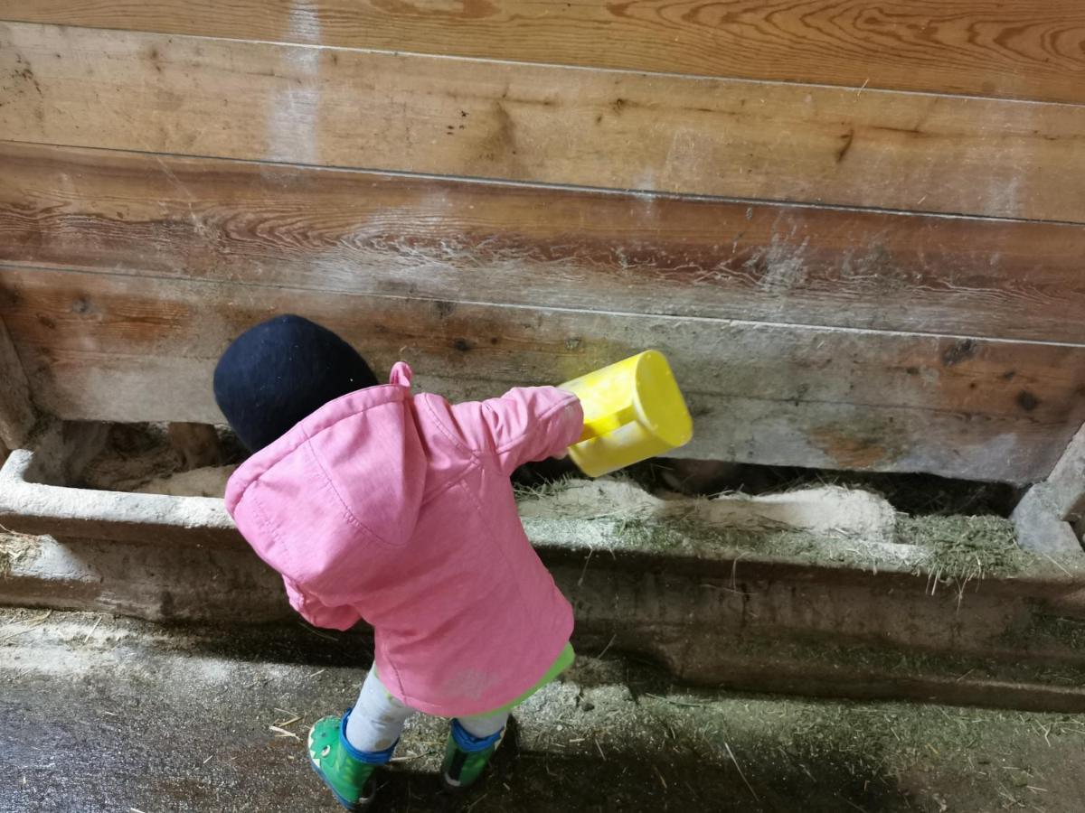 Landhaus Taurer Kals-am Großglockner 외부 사진