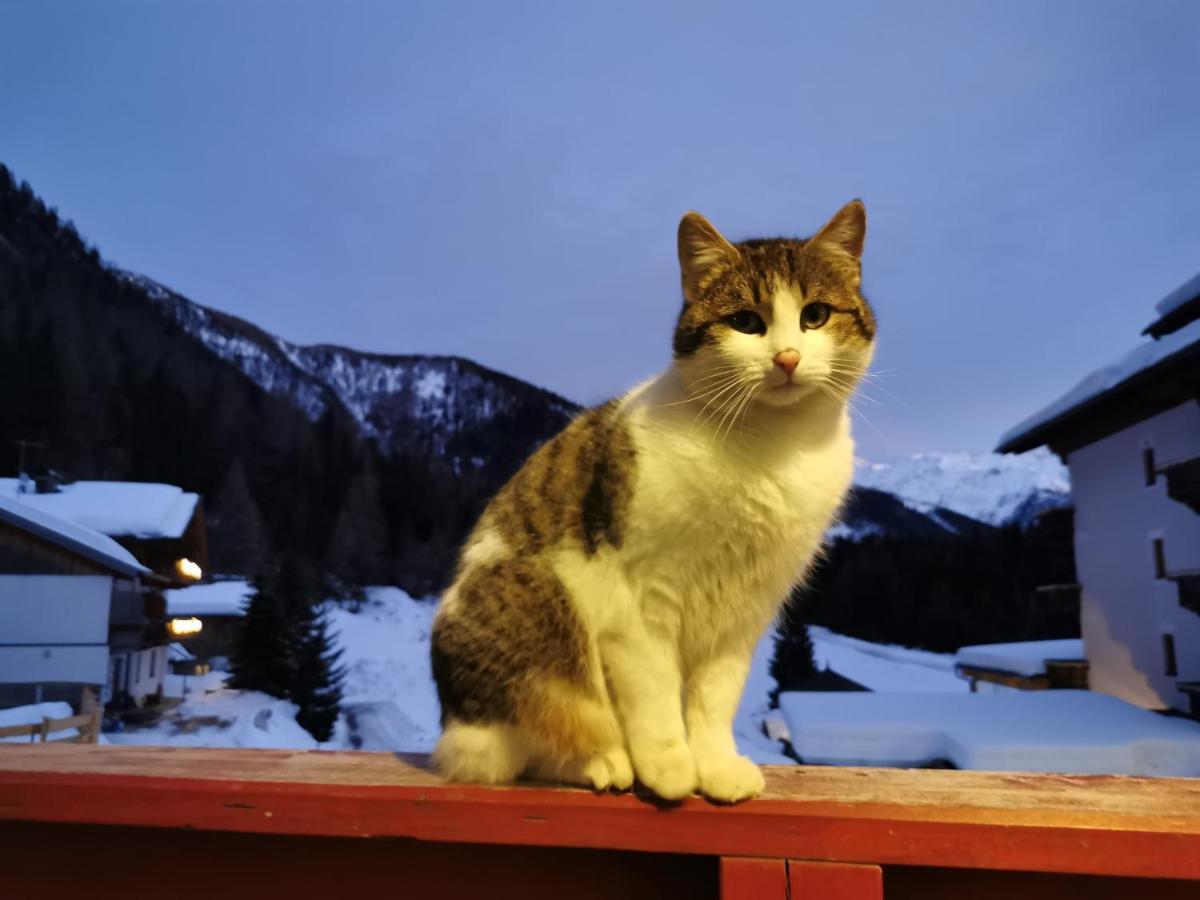 Landhaus Taurer Kals-am Großglockner 외부 사진